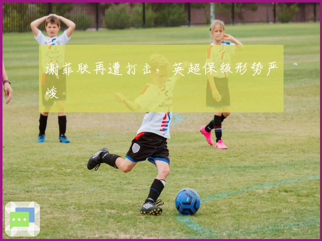 谢菲联再遭打击,英超保级形势严峻