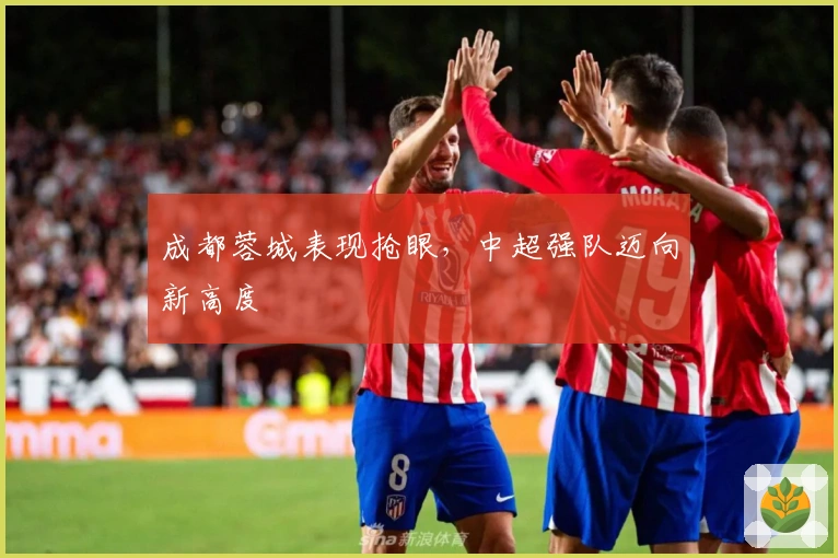 成都蓉城表现抢眼，中超强队迈向新高度