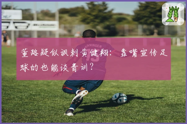 董路疑似讽刺黄健翔:靠嘴宣传足球的也能谈青训?